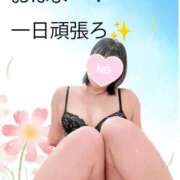 ヒメ日記 2026/07/09 07:52 投稿 よみち 香川サンキュー