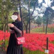 ヒメ日記 2025/11/12 17:40 投稿 ひまり 君とふわふわプリンセスin熊谷