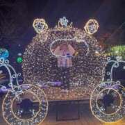 ヒメ日記 2025/12/25 00:16 投稿 ひまり 君とふわふわプリンセスin熊谷