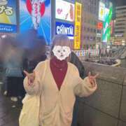 ヒメ日記 2026/03/19 16:05 投稿 ひまり 君とふわふわプリンセスin熊谷