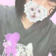 ヒメ日記 2026/03/27 16:06 投稿 ひまり 君とふわふわプリンセスin熊谷