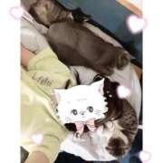 ヒメ日記 2025/10/22 20:09 投稿 あかり なでし娘