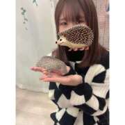 ヒメ日記 2025/10/29 21:02 投稿 あかり なでし娘