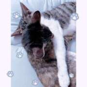 ヒメ日記 2025/10/31 21:45 投稿 あかり なでし娘