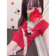 ヒメ日記 2025/11/04 23:14 投稿 あかり なでし娘