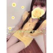 ヒメ日記 2025/11/28 00:43 投稿 あかり なでし娘