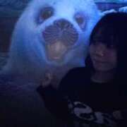 ヒメ日記 2025/10/13 23:18 投稿 あいり それいけ！ヤリスギ学園～舐めたくてグループ横浜校～