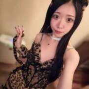 ヒメ日記 2025/11/01 07:34 投稿 NEKO GINGIRA☆TOKYO～ギンギラ東京～