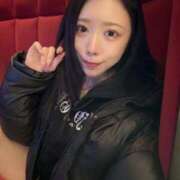 NEKO ( ´. .̫ . `)⤵️ GINGIRA☆TOKYO～ギンギラ東京～