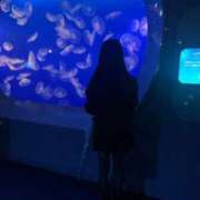 ヒメ日記 2026/01/21 21:14 投稿 NEKO GINGIRA☆TOKYO～ギンギラ東京～