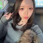 ヒメ日記 2026/04/14 08:10 投稿 NEKO GINGIRA☆TOKYO～ギンギラ東京～