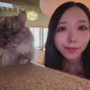 ヒメ日記 2026/04/25 15:39 投稿 NEKO GINGIRA☆TOKYO～ギンギラ東京～