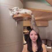 ヒメ日記 2026/05/04 12:35 投稿 NEKO GINGIRA☆TOKYO～ギンギラ東京～