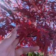 ちひろ 【ちひろ】自分を変える〜運気が良いときこそリセット〜 ぽっちゃりデリヘル倶楽部