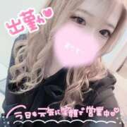 ヒメ日記 2025/09/11 18:06 投稿 ひめか お姉さんSelect