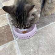 ヒメ日記 2025/08/31 11:12 投稿 ゆうか 千葉ミセスアロマ（ユメオト）