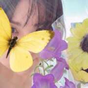 ゆうか もうすぐ♡ 千葉ミセスアロマ（ユメオト）