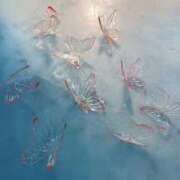 ヒメ日記 2026/02/25 10:57 投稿 ゆうか 千葉ミセスアロマ（ユメオト）