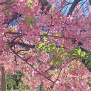 ヒメ日記 2026/03/12 12:04 投稿 ゆうか 千葉ミセスアロマ（ユメオト）