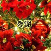 ヒメ日記 2024/12/14 06:31 投稿 まり モアグループ川越人妻花壇