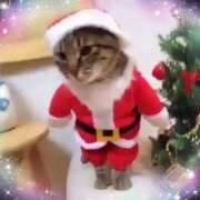 ヒメ日記 2024/12/23 21:42 投稿 まり モアグループ川越人妻花壇