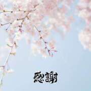 ヒメ日記 2025/04/05 06:40 投稿 まり モアグループ川越人妻花壇