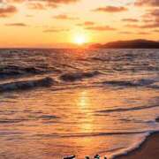 ヒメ日記 2025/09/20 10:07 投稿 まり モアグループ川越人妻花壇