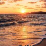 ヒメ日記 2025/10/23 17:15 投稿 まり モアグループ川越人妻花壇