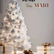 ヒメ日記 2025/11/29 09:00 投稿 まり モアグループ川越人妻花壇