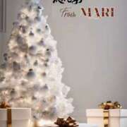 ヒメ日記 2025/12/08 10:59 投稿 まり モアグループ川越人妻花壇