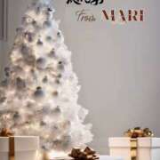 ヒメ日記 2025/12/13 07:50 投稿 まり モアグループ川越人妻花壇