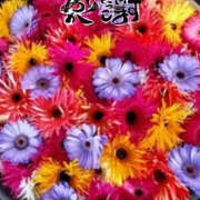 ヒメ日記 2025/12/30 18:50 投稿 まり モアグループ川越人妻花壇