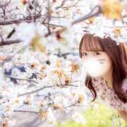 Ito ?改めまして CELEB（セレブ）