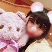 シロエビ　白海老 構ってよっ😿😿 女の子市場