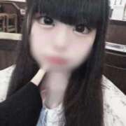 シロエビ　白海老 ねぇねぇ？？ 女の子市場