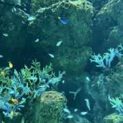 さら さら（エコ難波店） スピードエコ難波店