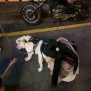 ヒメ日記 2025/08/30 23:13 投稿 ナル Club NANA 大阪