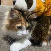 ヒメ日記 2025/12/07 01:23 投稿 もえか MINT（ミント）