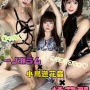 ヒメ日記 2025/09/26 14:55 投稿 一ノ瀬ラム T-girl （大阪）