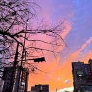 ヒメ日記 2025/11/03 13:47 投稿 はな DEEP BLACK