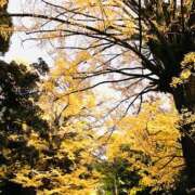 ヒメ日記 2025/11/15 21:07 投稿 はな DEEP BLACK