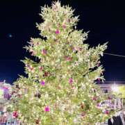 ヒメ日記 2025/12/07 06:19 投稿 はな DEEP BLACK