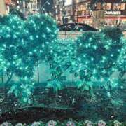 ヒメ日記 2025/12/09 22:09 投稿 はな DEEP BLACK