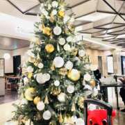 ヒメ日記 2025/12/17 22:30 投稿 はな DEEP BLACK