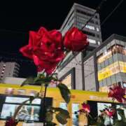 ヒメ日記 2026/01/14 07:07 投稿 はな DEEP BLACK