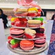 ヒメ日記 2026/01/24 06:59 投稿 はな DEEP BLACK