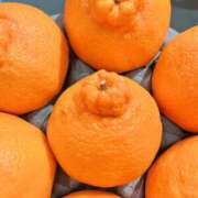 ヒメ日記 2026/02/13 15:22 投稿 はな DEEP BLACK