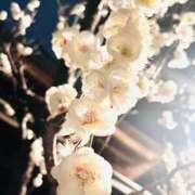 ヒメ日記 2026/02/17 21:04 投稿 はな DEEP BLACK