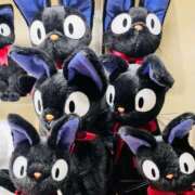 ヒメ日記 2026/02/22 02:22 投稿 はな DEEP BLACK