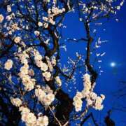 ヒメ日記 2026/02/23 21:41 投稿 はな DEEP BLACK